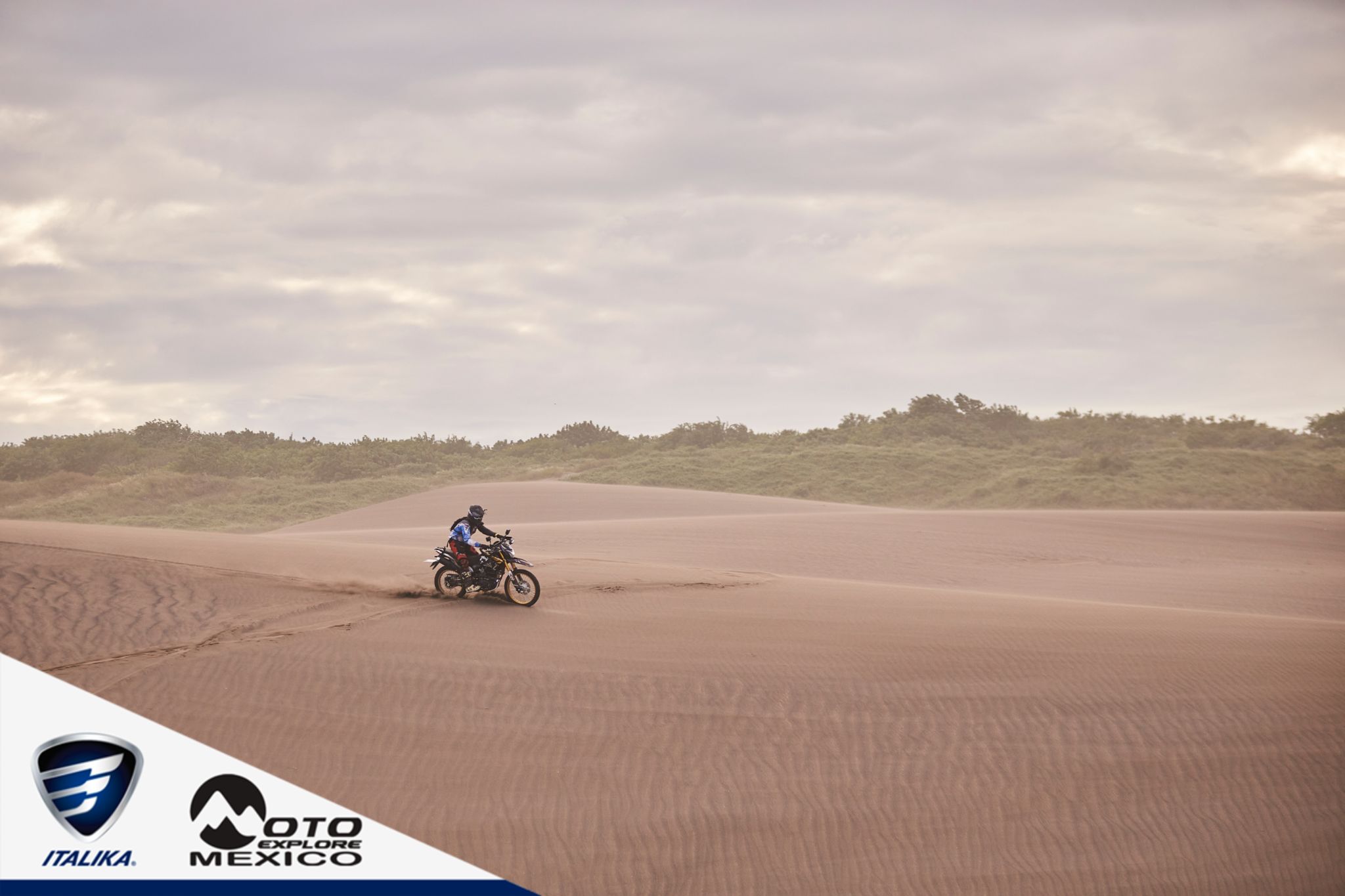 ITALIKA CHACHALACAS D2 496